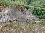 image (13)